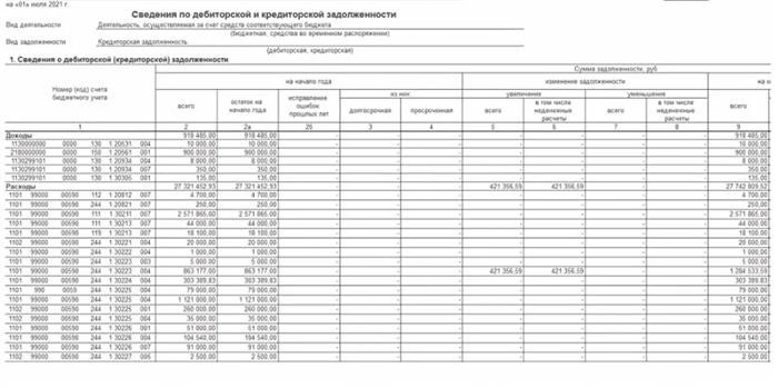 Бюджетный учет: 209 счет и его работа