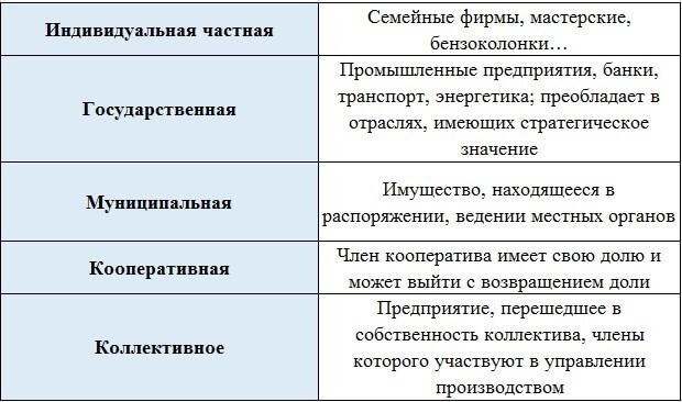 Смешанная форма собственности